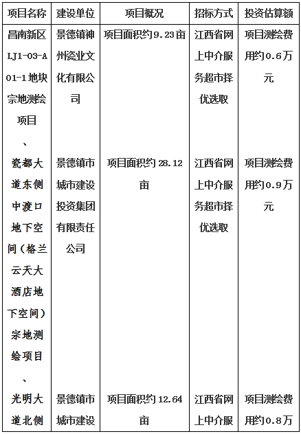 景德鎮(zhèn)市昌南新區(qū)LJ1-03-A01-1地塊、瓷都大道東側中渡口地下空間（格蘭云天大酒店地下空間）、光明大道北側利民路西側地下空間（青少年宮地下空間）、規(guī)劃二路北側地下空間地塊二（加速基地地下空間）、規(guī)劃二路北側地下空間地塊一（加速基地地下空間）、景德大道南側天寶橋西側地塊、景興大道東側如意路北側地下空間(社會公共服務