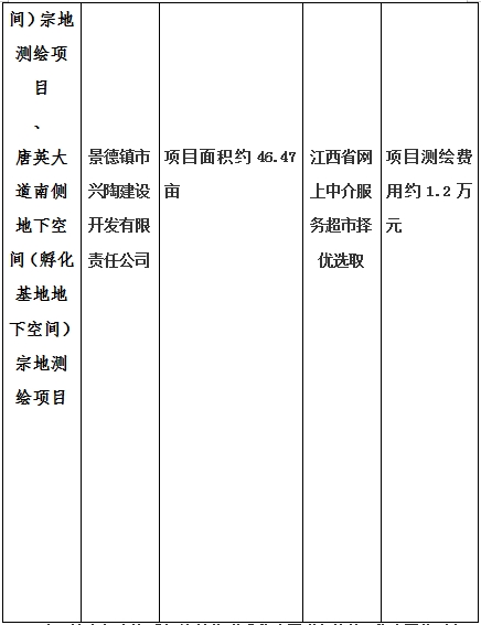 景德鎮(zhèn)市昌南新區(qū)LJ1-03-A01-1地塊、瓷都大道東側中渡口地下空間（格蘭云天大酒店地下空間）、光明大道北側利民路西側地下空間（青少年宮地下空間）、規(guī)劃二路北側地下空間地塊二（加速基地地下空間）、規(guī)劃二路北側地下空間地塊一（加速基地地下空間）、景德大道南側天寶橋西側地塊、景興大道東側如意路北側地下空間(社會公共服務